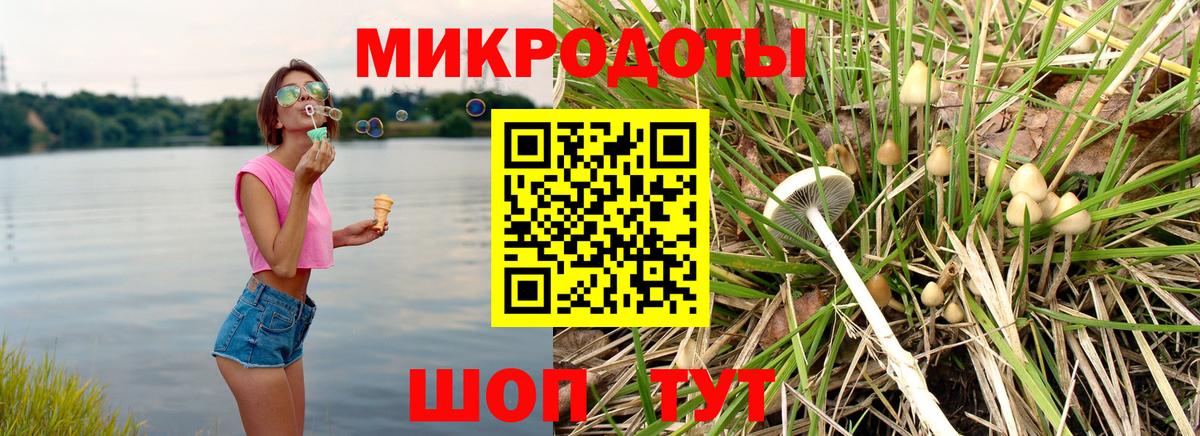 Псилоцибиновые грибы ЛСД Волжский